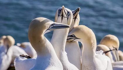 米乐M6官方网站-新科K联MVP无缘战上港 全北现代目标:夺取三冠王